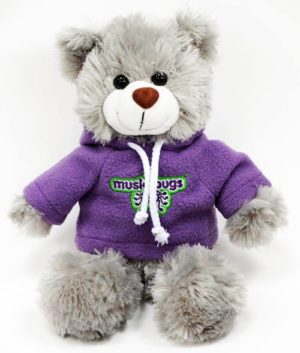 Image shows Music Bugs Bugsy Bear in purple hoodie